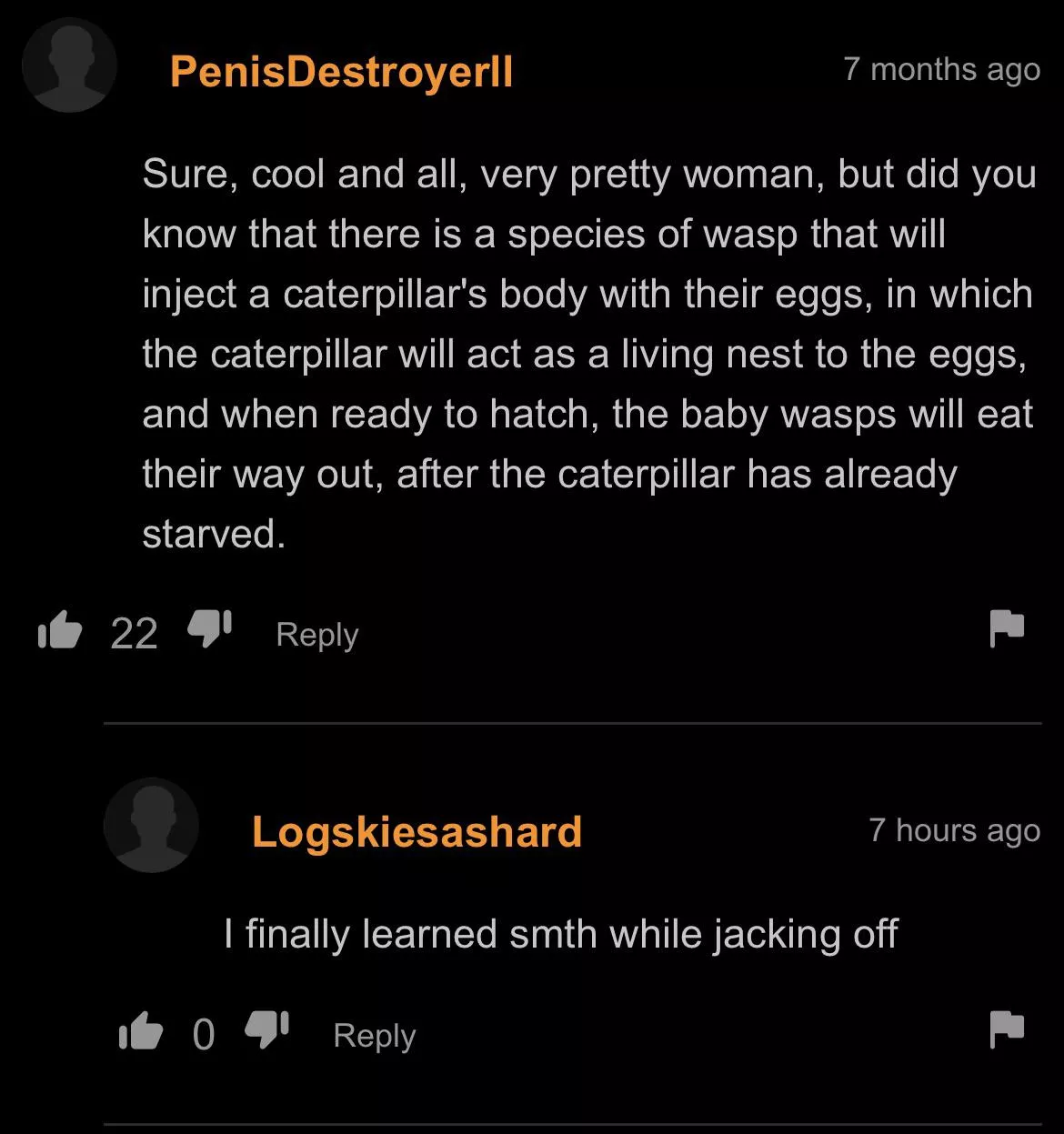 Bros the educator (Only Suggestive Language)