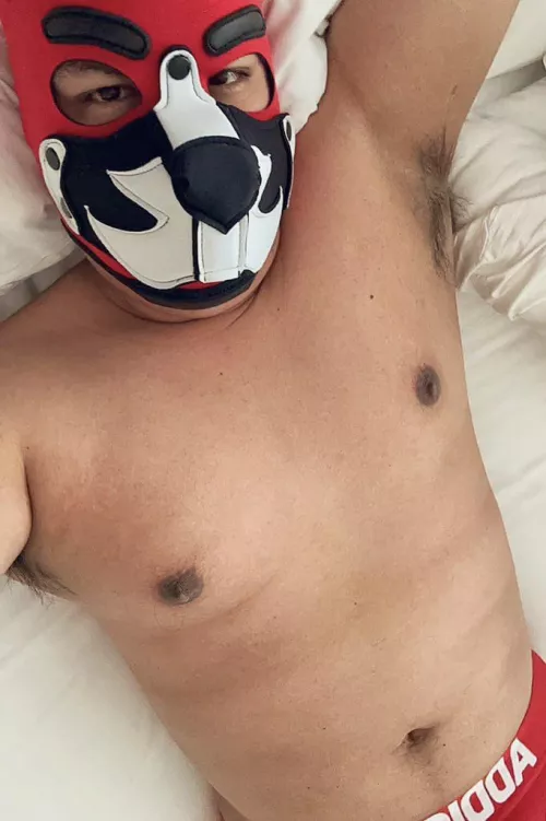 Come take a sniff pup