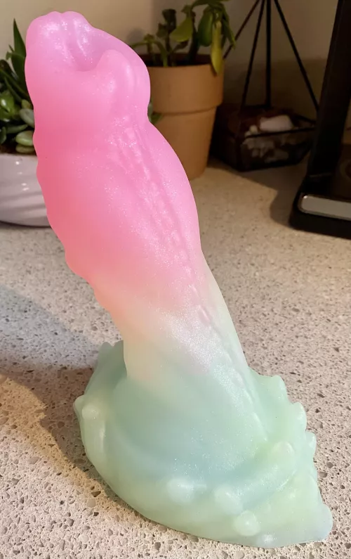 Croxic arrived and he’s v pretty