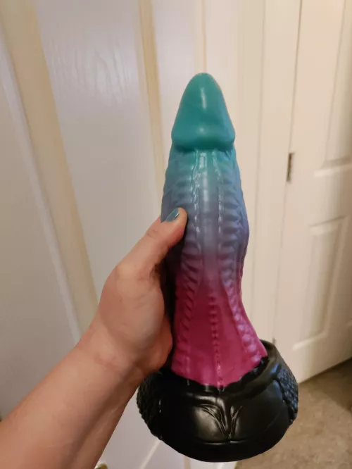 I adopted a medium Tempest. Seller on ebay was not honest and listed him as New but he wasn't lol. Oh well he was cheap and he got a bath. Still glad he's part of the pack. Next item I'm getting is Jerry! He will be ordered Thursday and I can't wait!