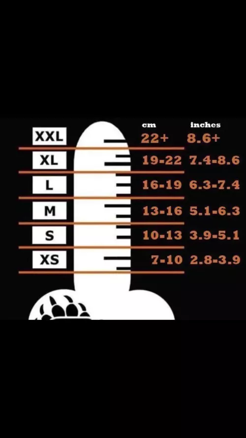 Is there 18-20 boys who can dwarf my L cock?