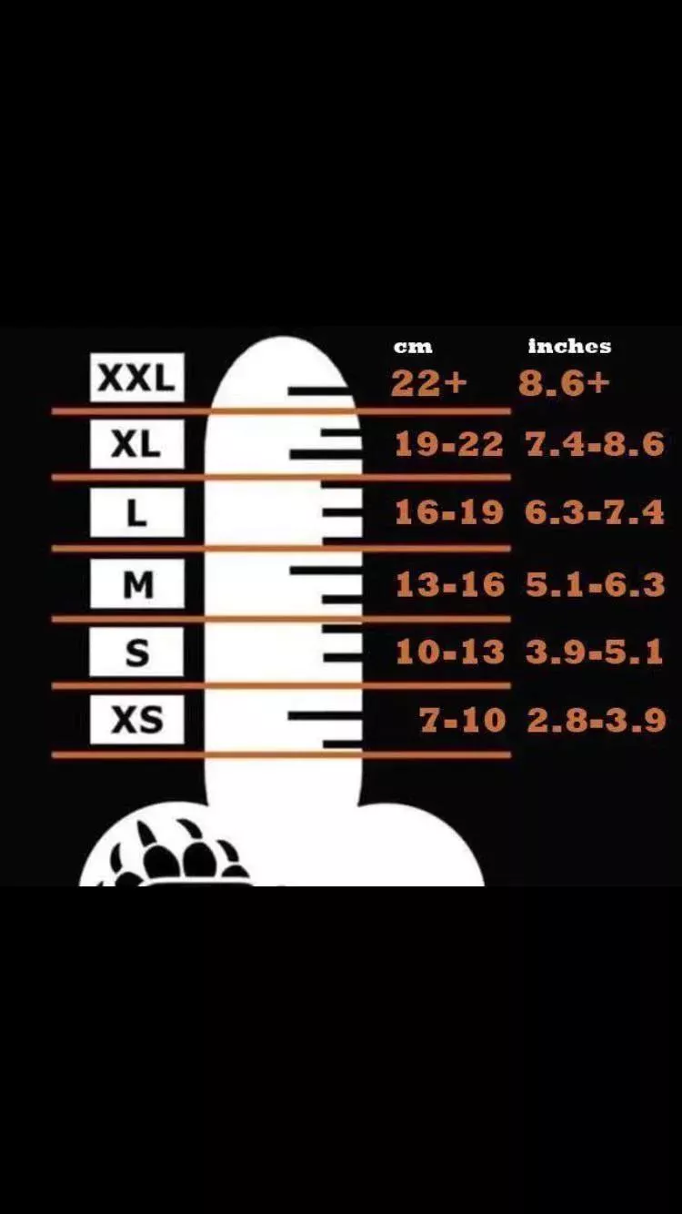 Is there 18-20 boys who can dwarf my L cock?