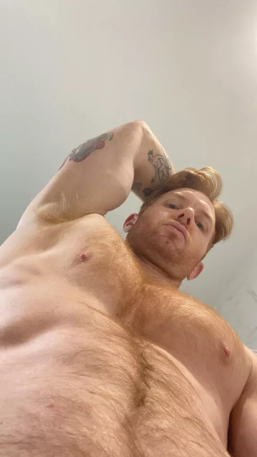 Look up to your Alpha Master