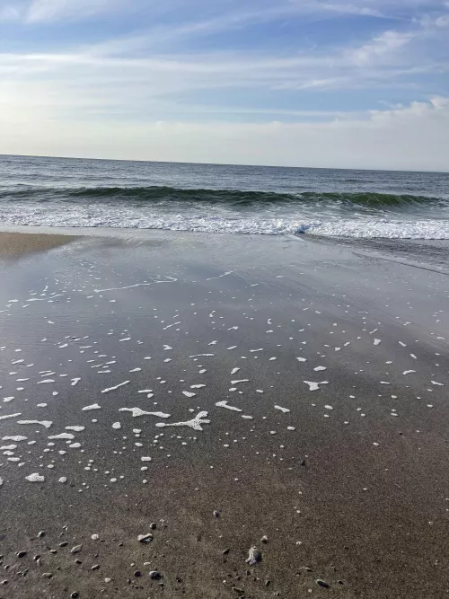 Maine beach in the beginning of spring