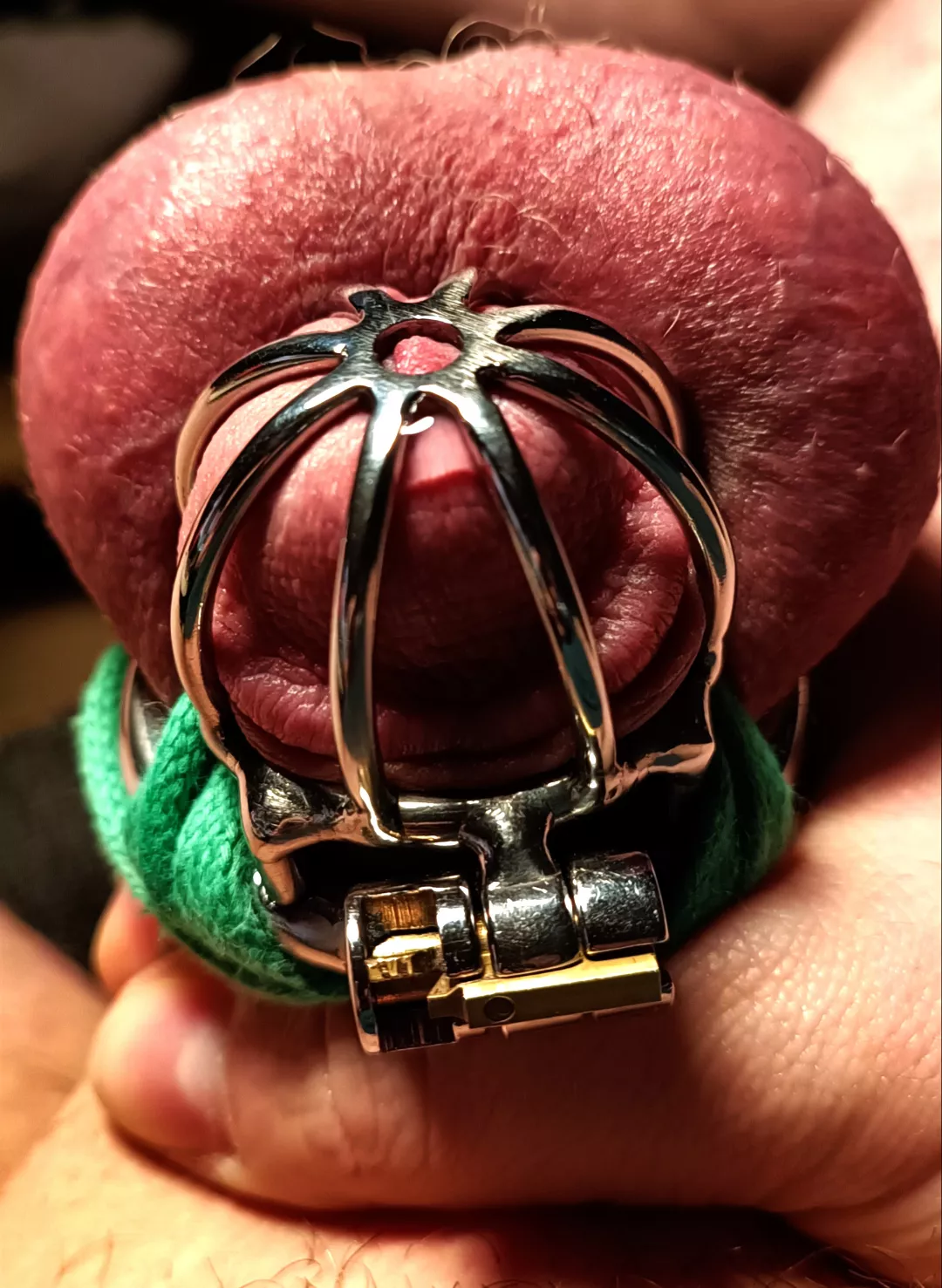 My new steel model arrived. How do you like it?