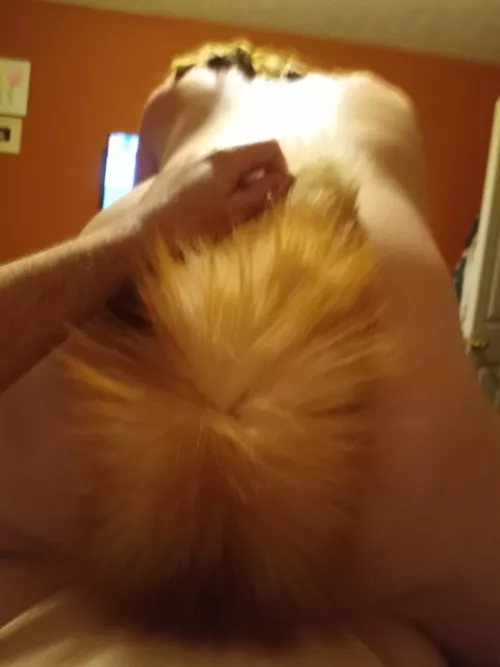 My sexy 🦊 getting bred. (Couple)