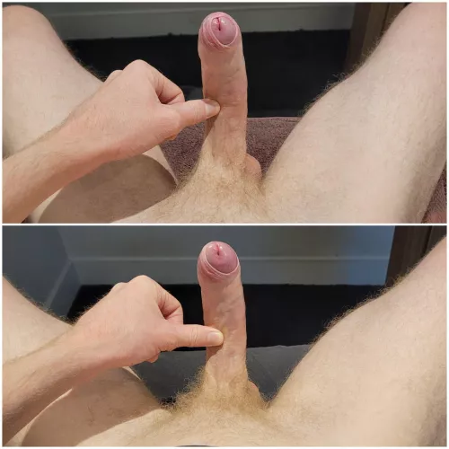 Nice 1.5 month of growth (from top to bottom)