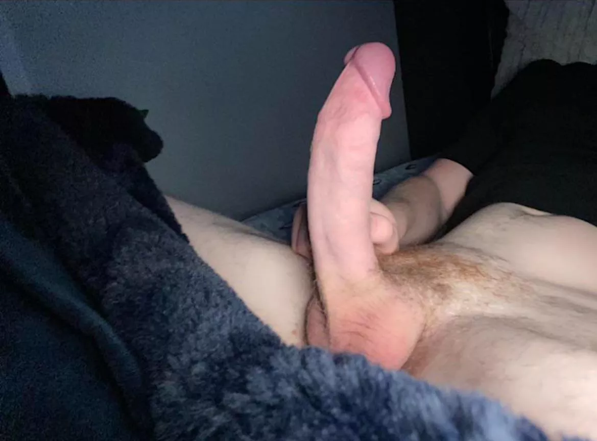 Open for rates and dms !!( a bit shy so first post here ! )