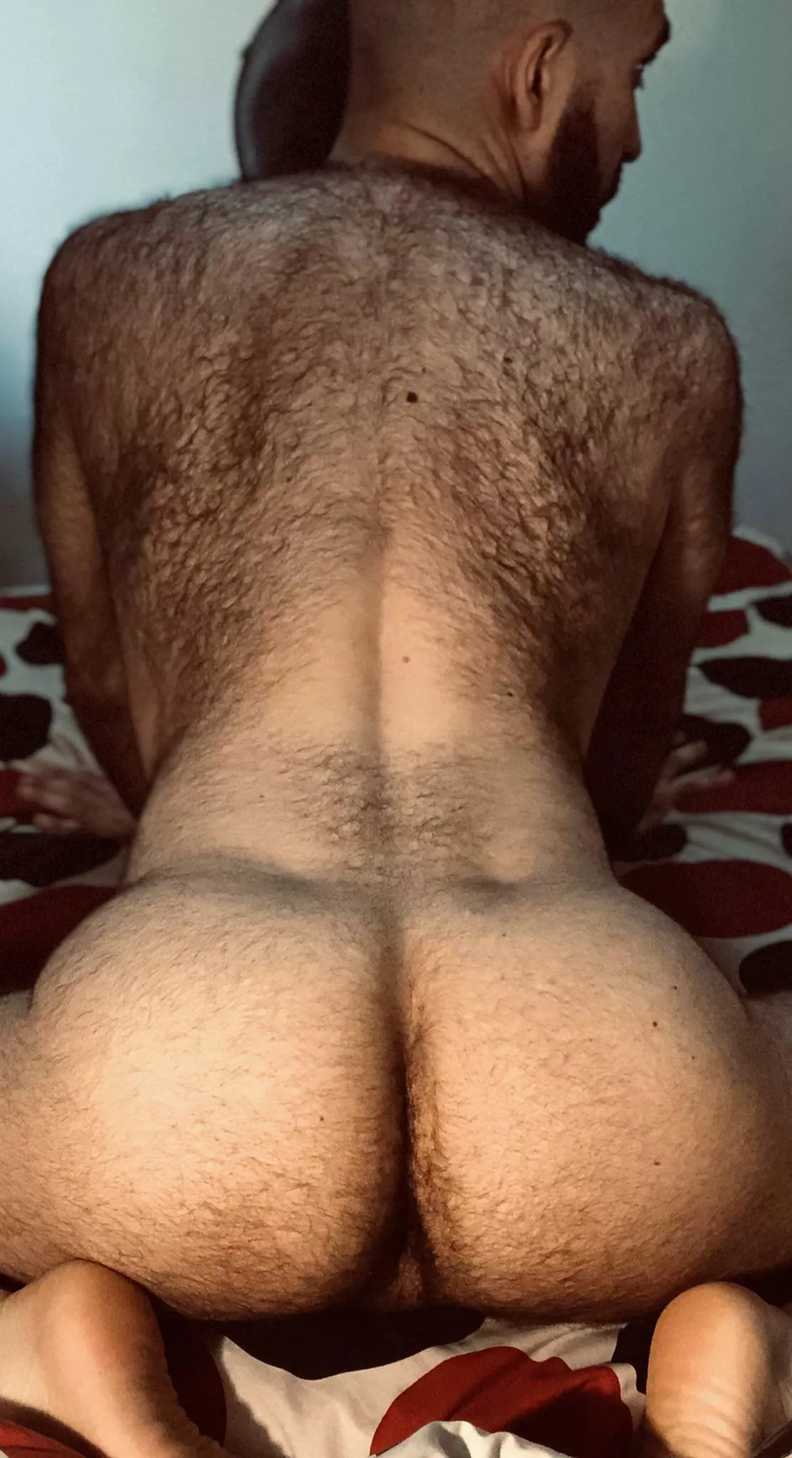 Rub my hairy back?