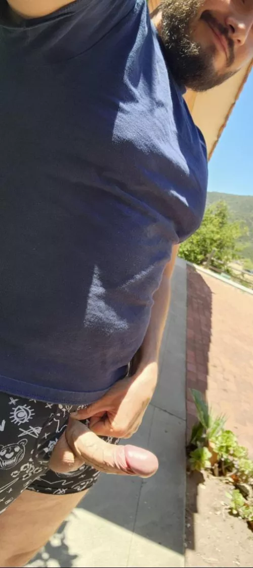 Sun's out, cock out.