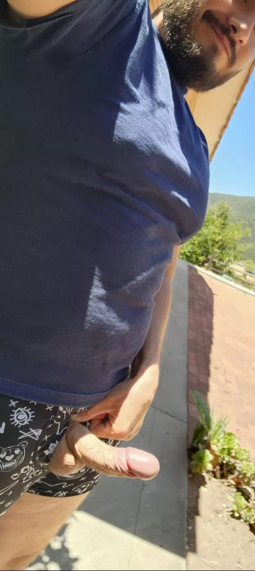 Sun's out, cock out.