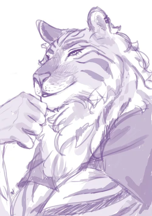 Tiger sketch I did