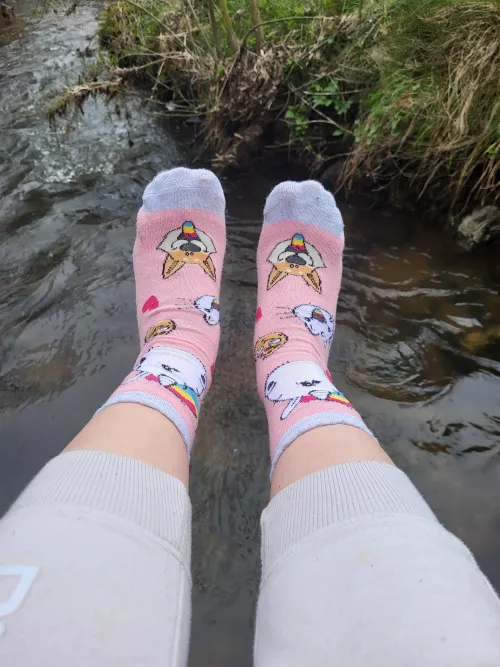 Wanna pet my Unicorn? (OC)