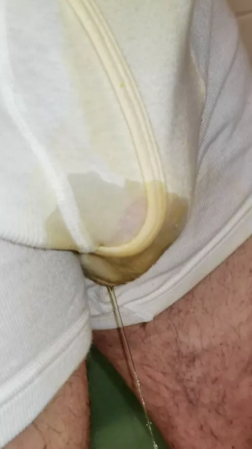 Wetting my musky, pissy briefs 🐽