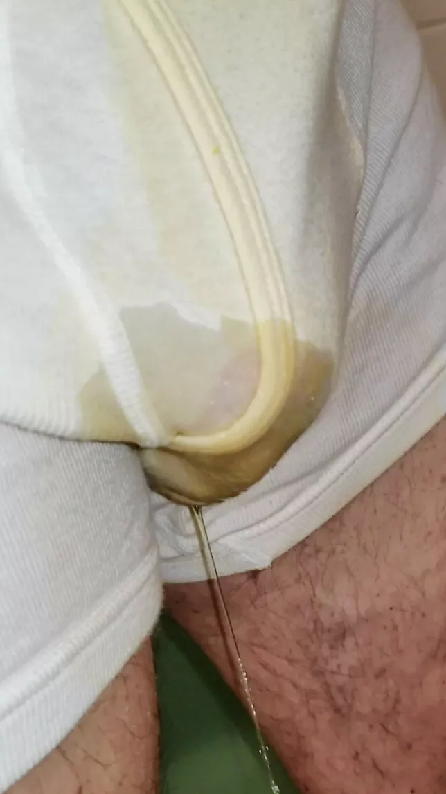 Wetting my musky, pissy briefs 🐽