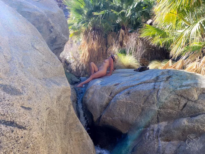 A pleasant pause to pose with palms 🌴