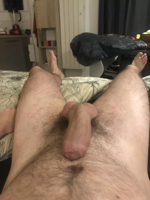 Allow me to not pull down my foreskin for now