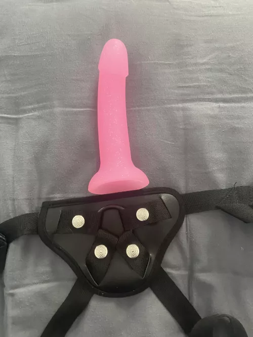 Can you guess what came in the mail?