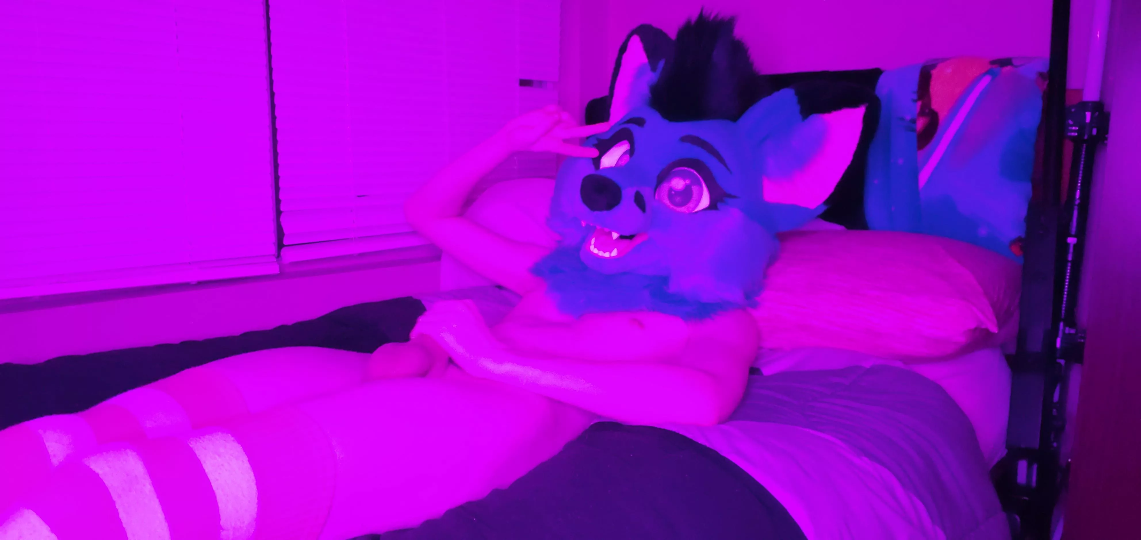 Cum lay down with me uwu