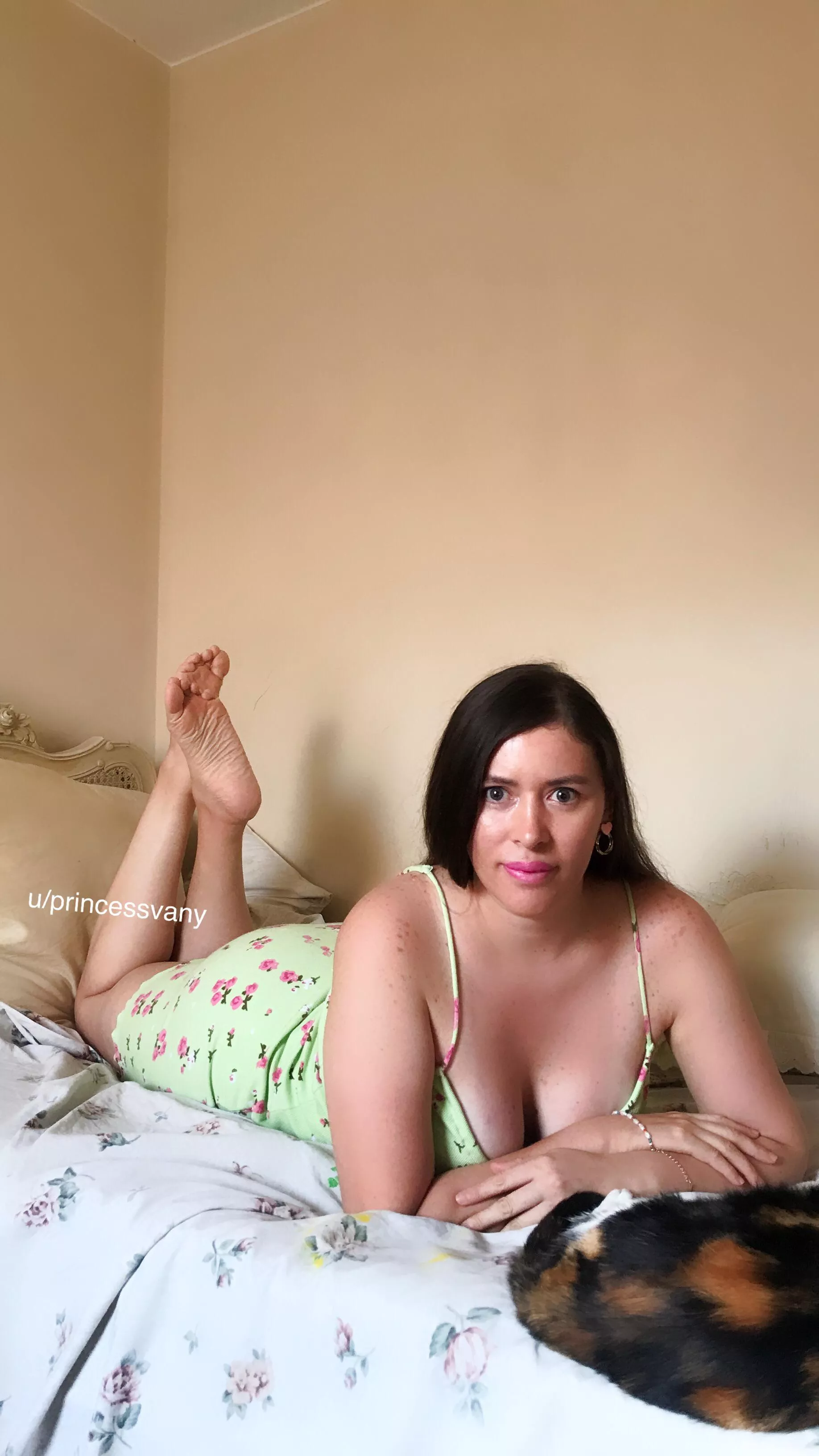 Do you prefer blondes or browns?