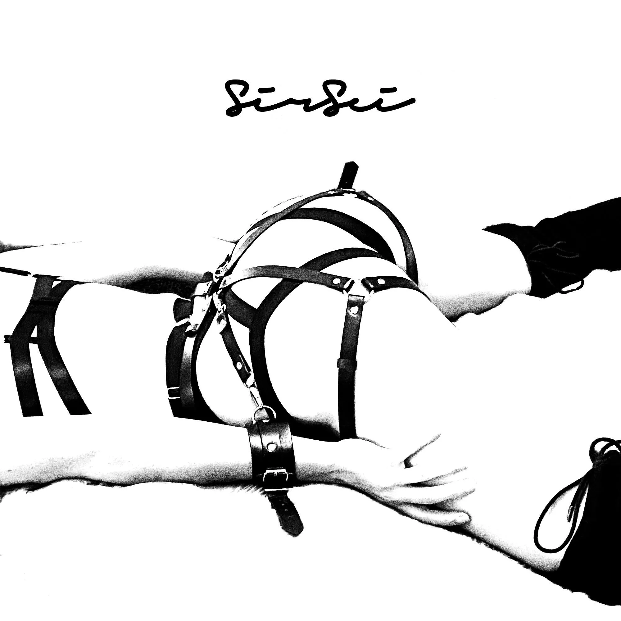 ✖︎ HARNESSED ✖︎