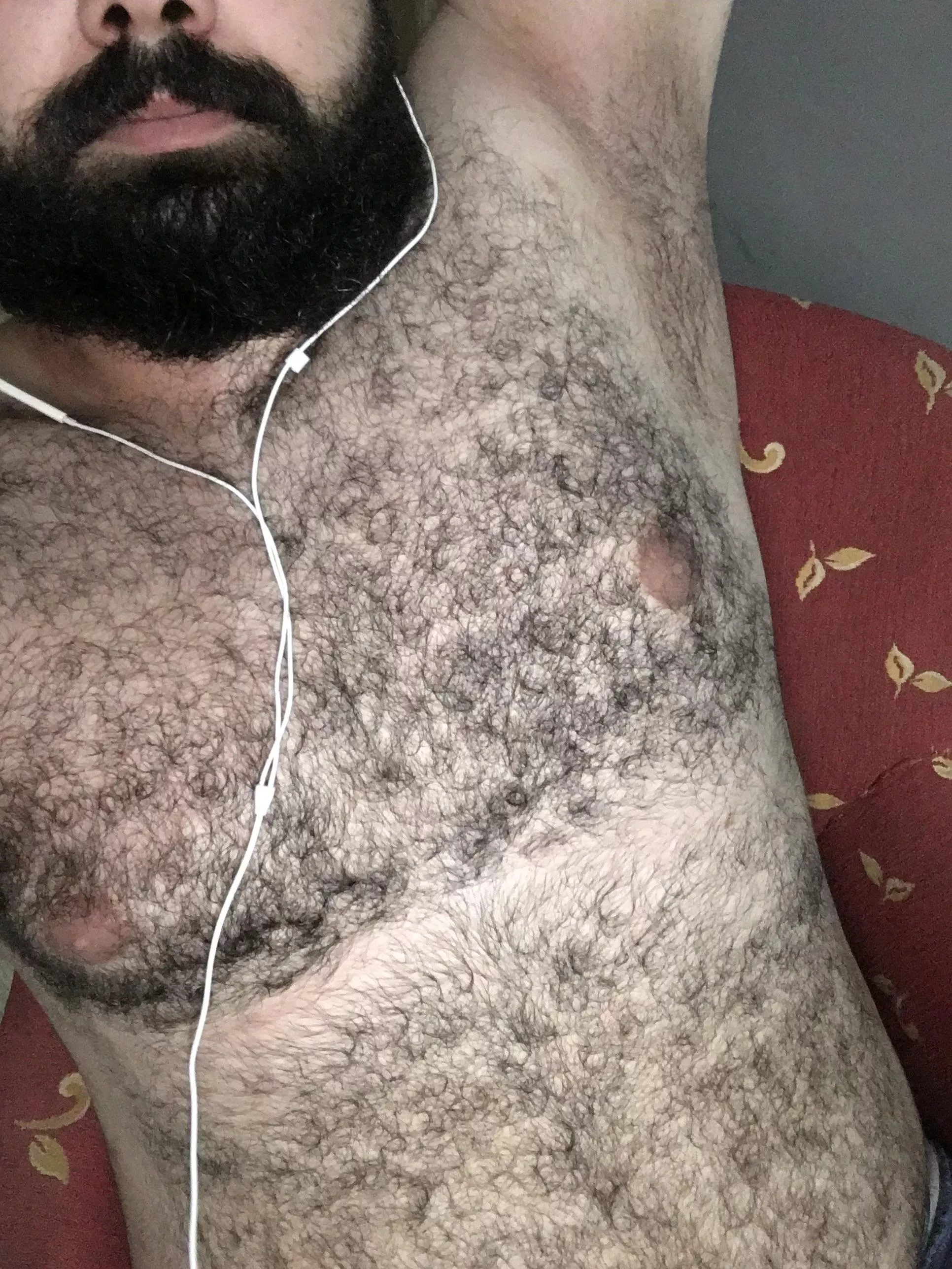 Hi 👋 I’m 193cm tall with hair on all of my body … how want to share me the bed ?