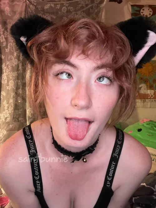 i think i like my new ears