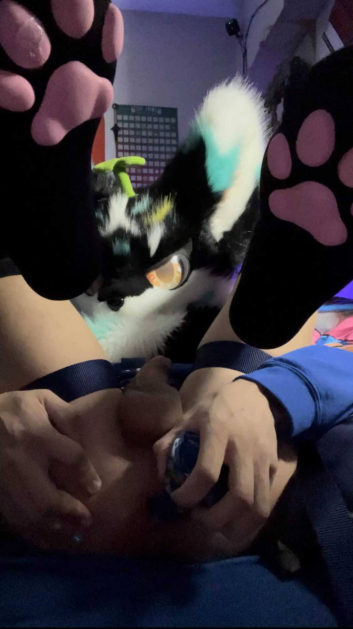 I think I might need a size up on my rex