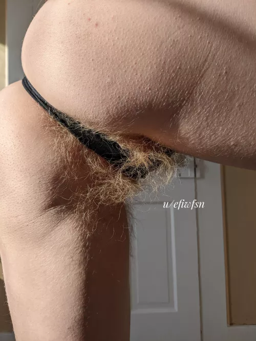 I've got more hair on my asshole than you could ever imagine