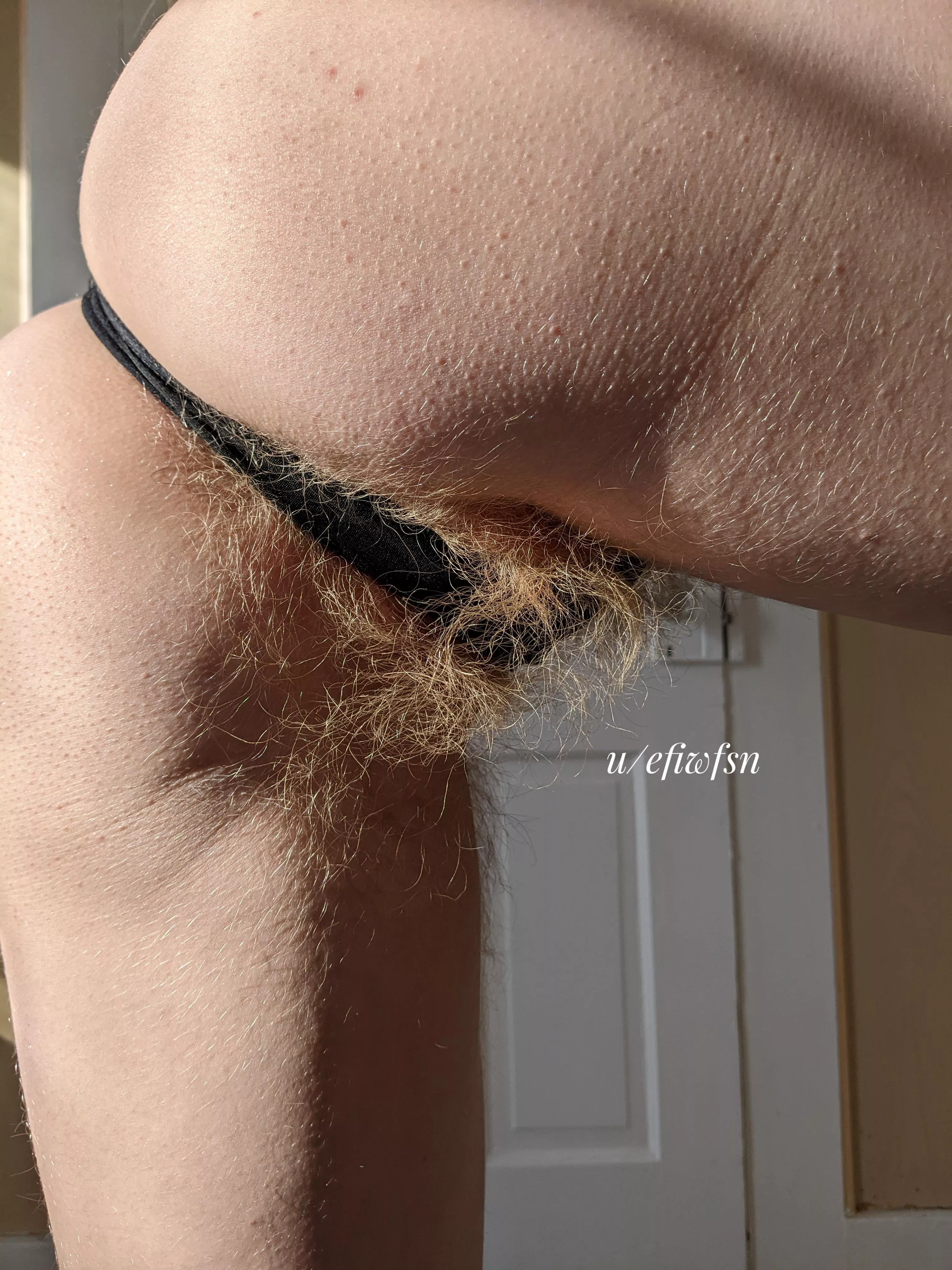 I've got more hair on my asshole than you could ever imagine