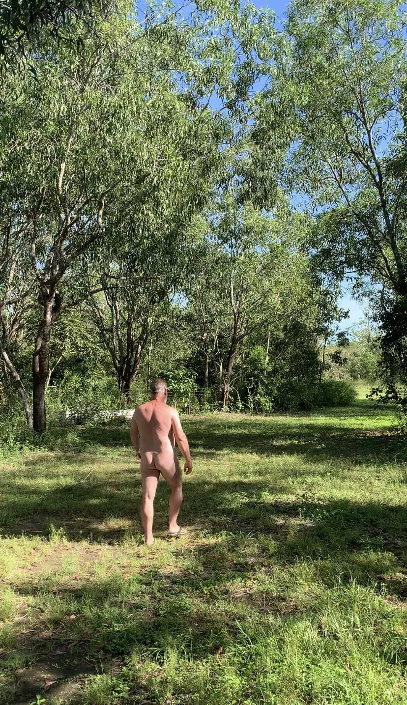 Just out for a walk.