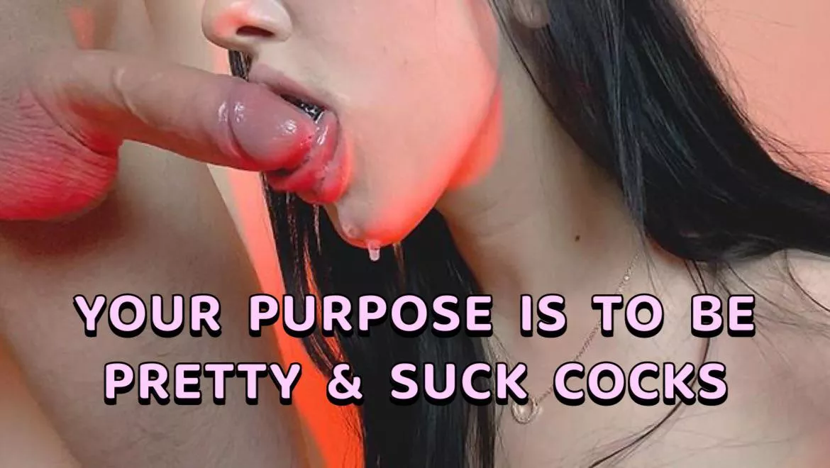 Life finally has meaning!🥰