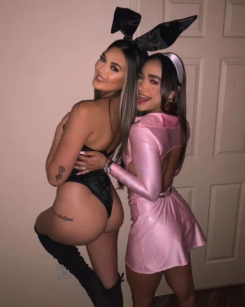 Looking for playmates