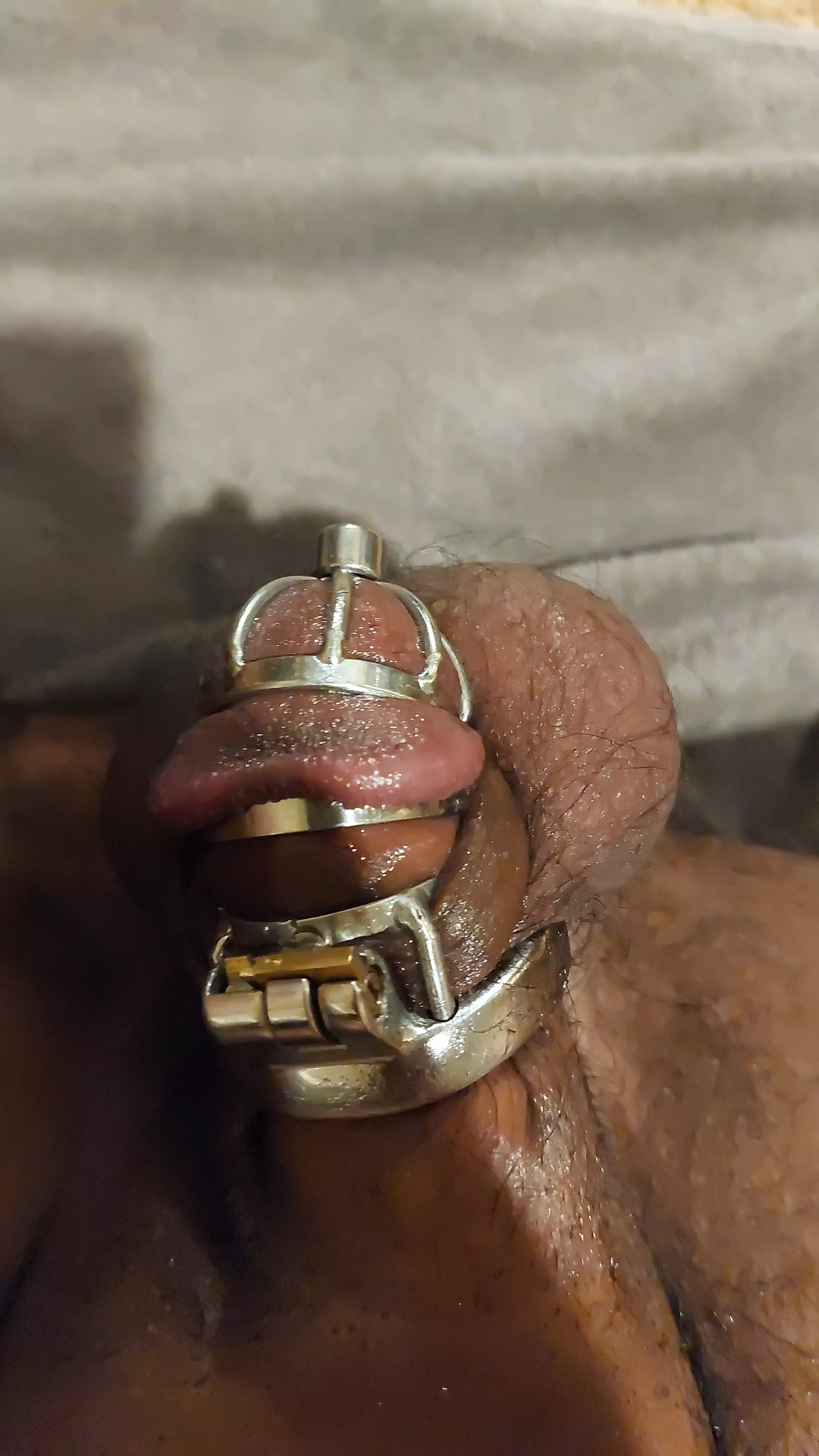 mightve started to small but I love it. Any recommendations for me