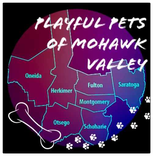 New Discord group for pet players, handlers, and furries in the Mohawk Valley! So far we have a Facebook group, a Discord group, and a FL group. I'm not sure if any of you are from the Mohawk Valley but if you are feel free to join! https://discord.gg/3