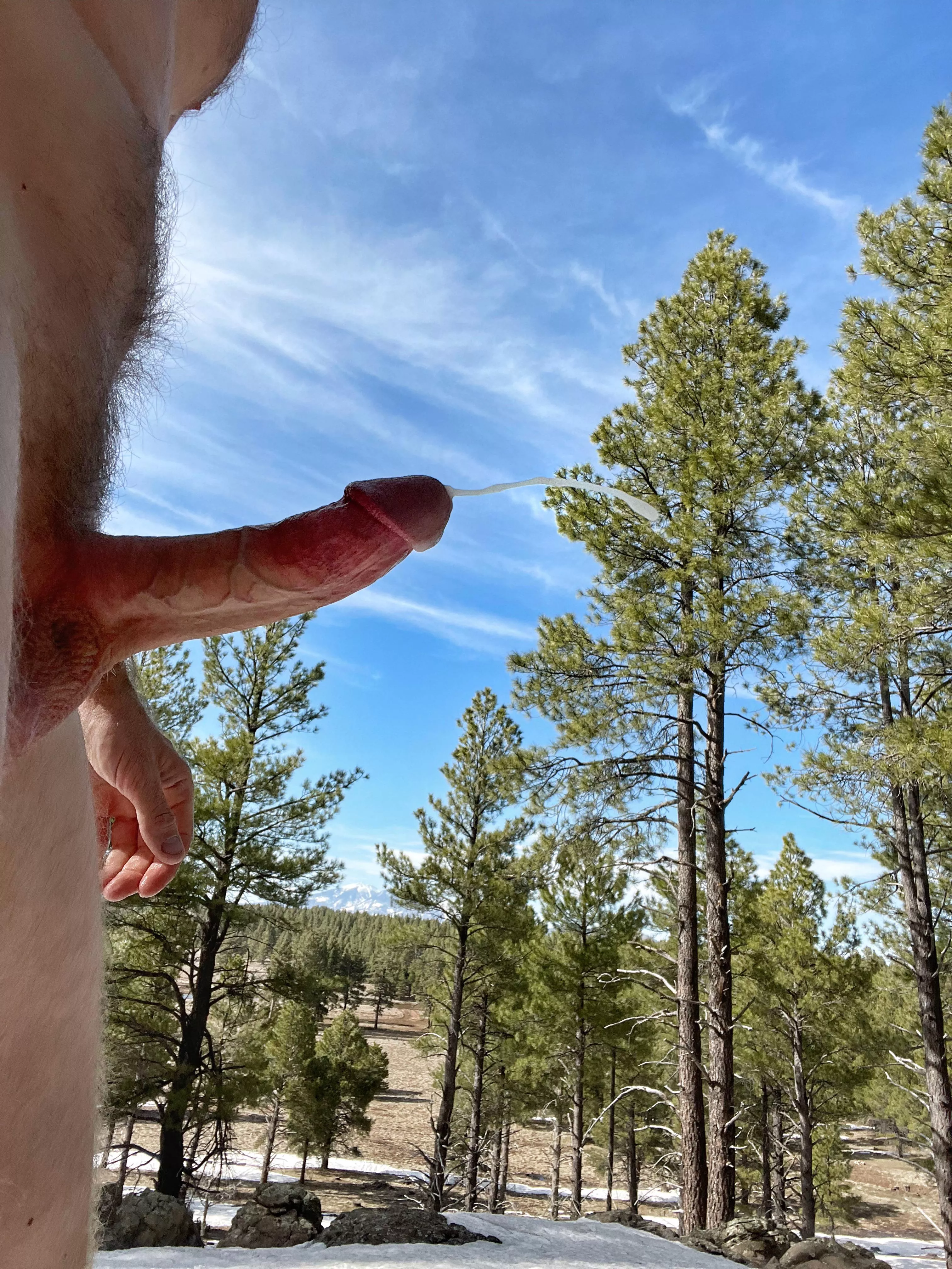 Sometimes it takes a few tries to capture it on camera