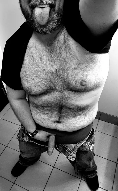 Take your pick. Which do you want to ride first?