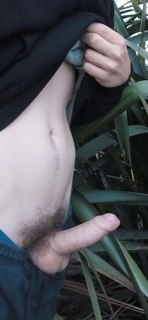 Want to help me out in nature