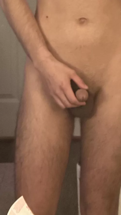 What do u guys think