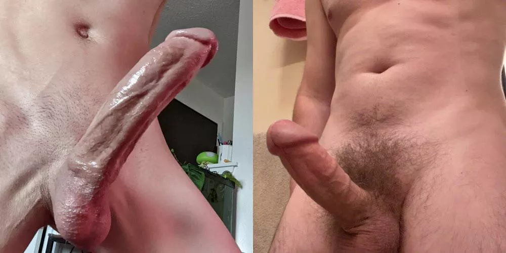 Which cock would you rather , left or right?
