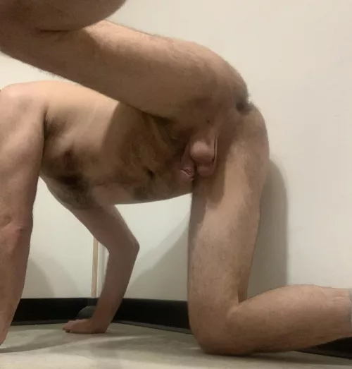 Wish i had another pup to mount me