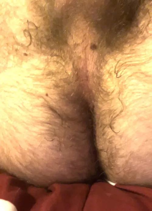 Wish someone was playing with this hairy ass right now