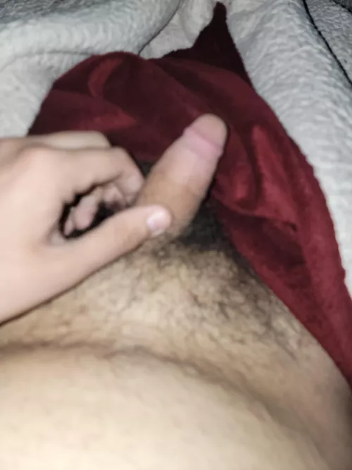 18 horny af I need a bwc bull to show me that white cock is superior