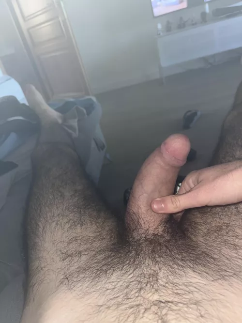 20 who help me ? Sc bernadgaut2785