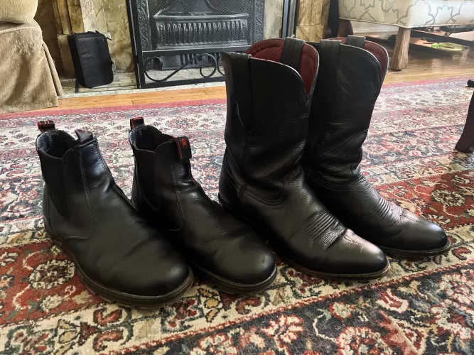A family photo of sorts! My two year old redbacks and a now month old pair of Chisos no.1s!