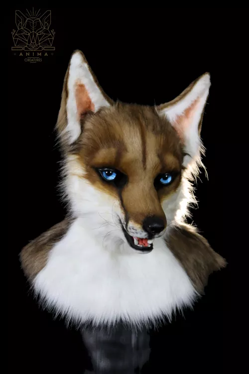 A new Fox commission is done ! *w* (Instagram : anima_creatures)