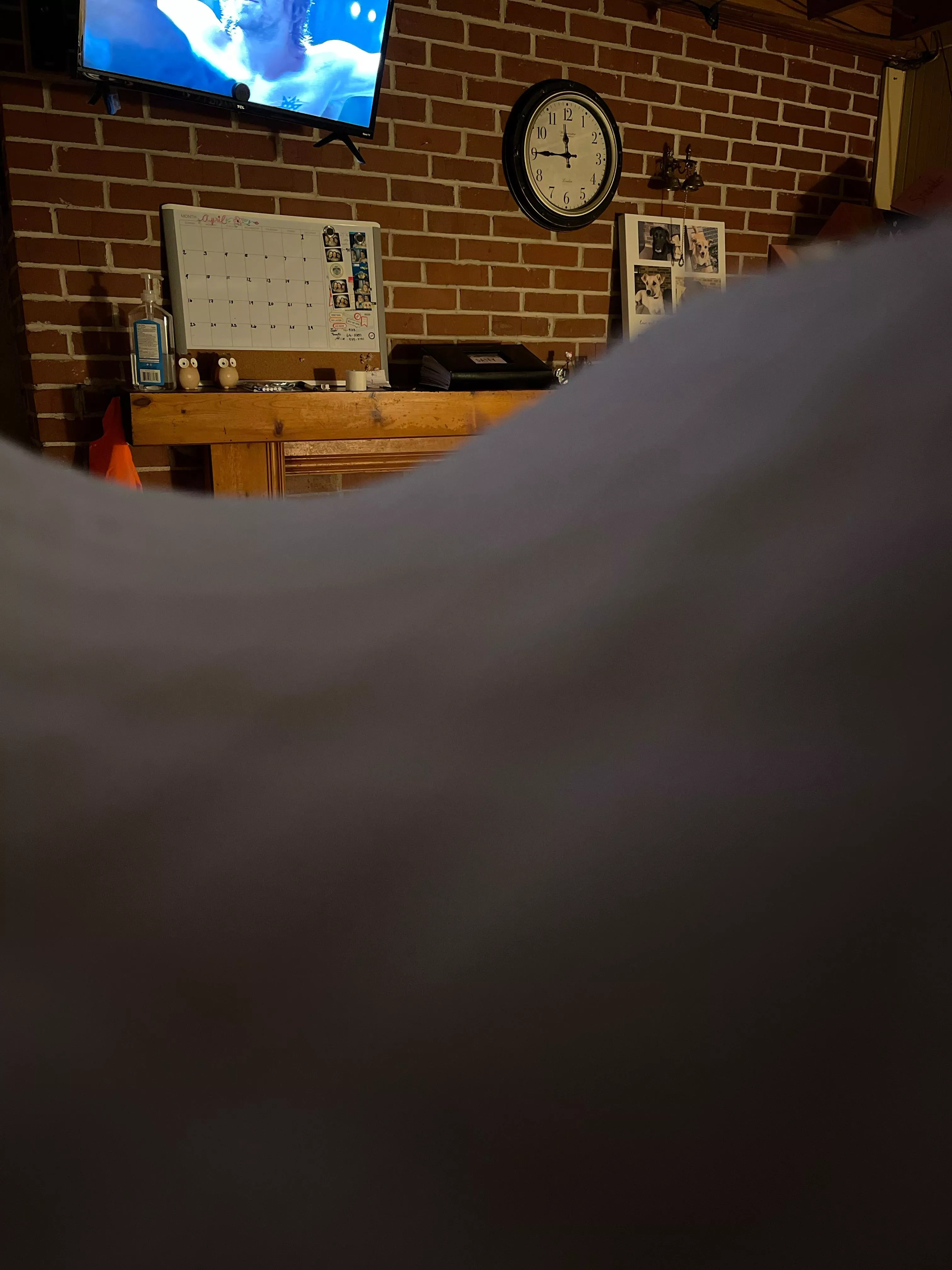 any body been with a dog or horse