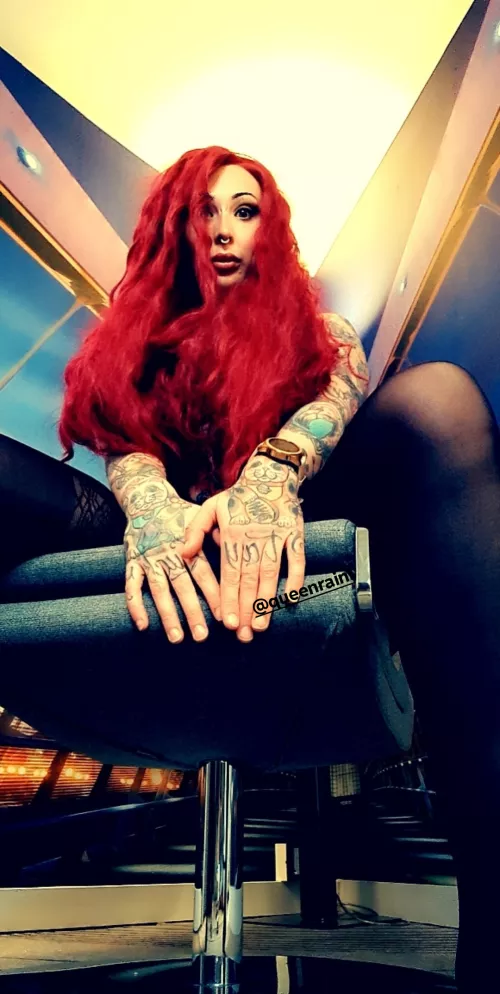 Are you going to sit and beg like a good boy?