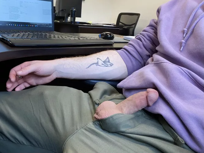 Brought my little ray out to the office today! (M)