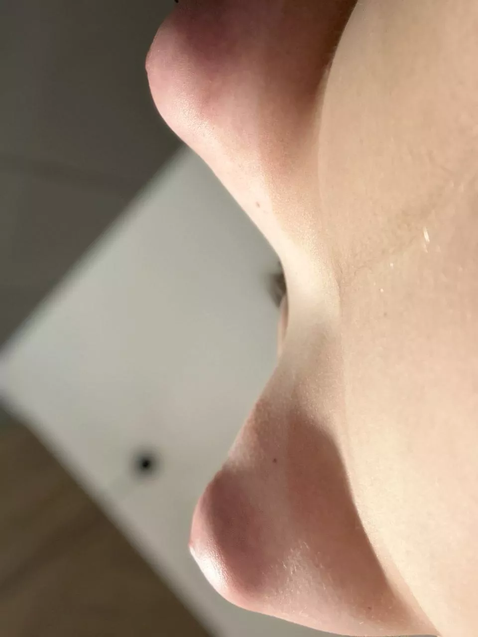 Do you see how big they are